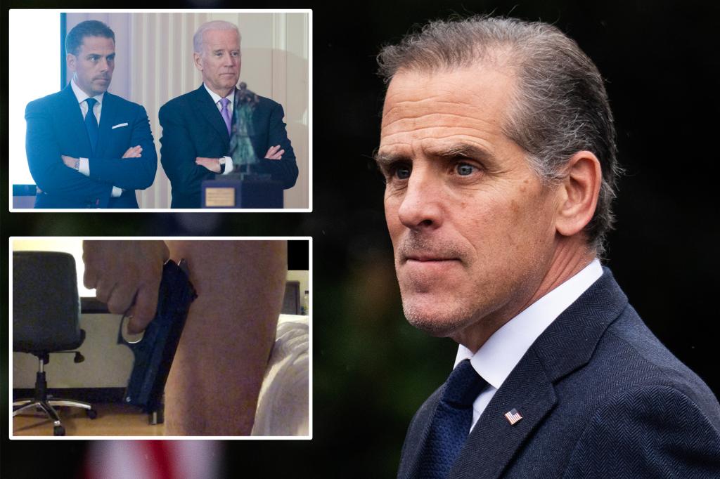 Hunter Biden begged DNC to pay his legal fees for tax, gun cases: new tome