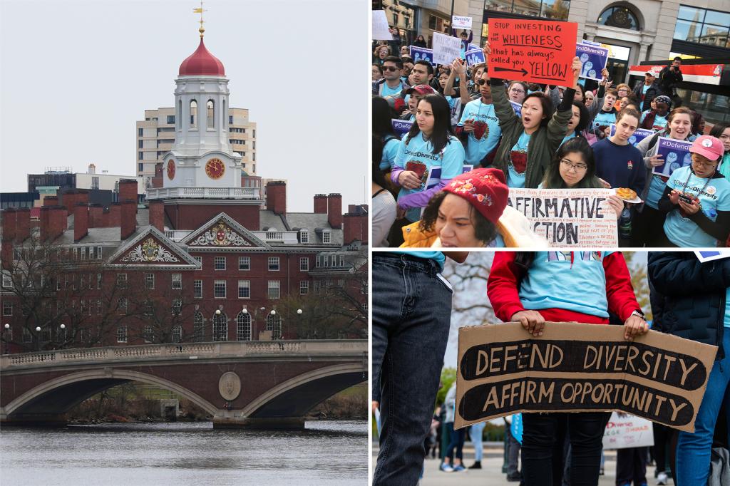 Harvard got $49M from feds to fund unlawful DEI programs, discrimination suit claims