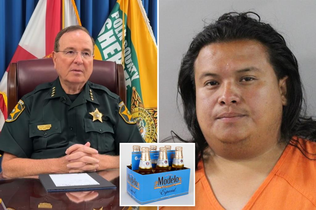 Nicaraguan man illegally in US facing 'enhanced' charges after drunken hit-and-run: sheriff