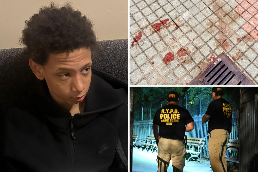Vicious killing of 14-year-old Angel Mendoza is so heinous that 'Raise the Age' won't apply for alleged teen killers