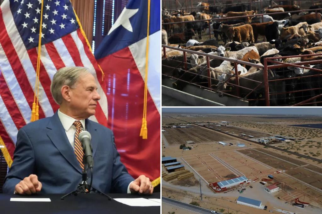 US confirms nation's first travel-associated human screwworm case connected to Central American outbreak 